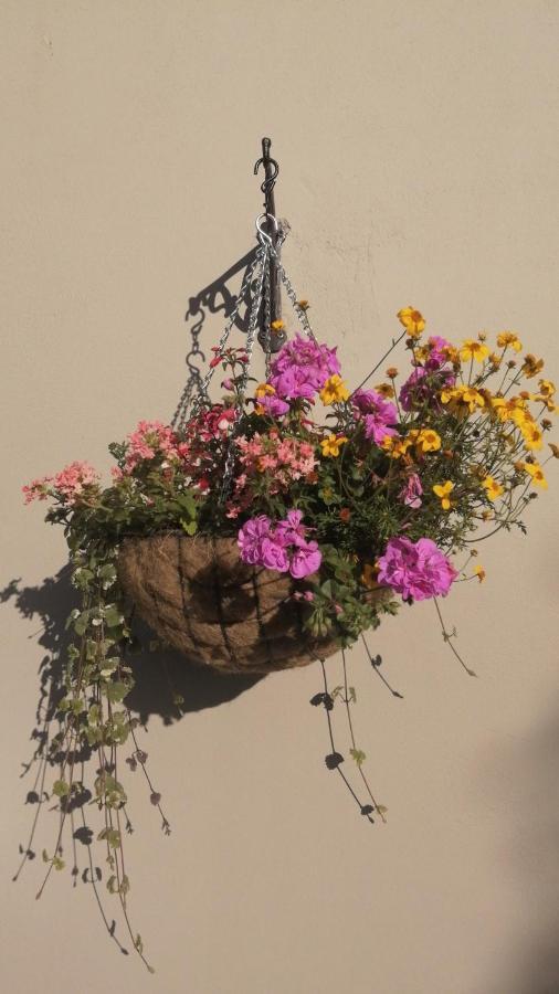 Applecroft House Bed & Breakfast Killarney Ngoại thất bức ảnh