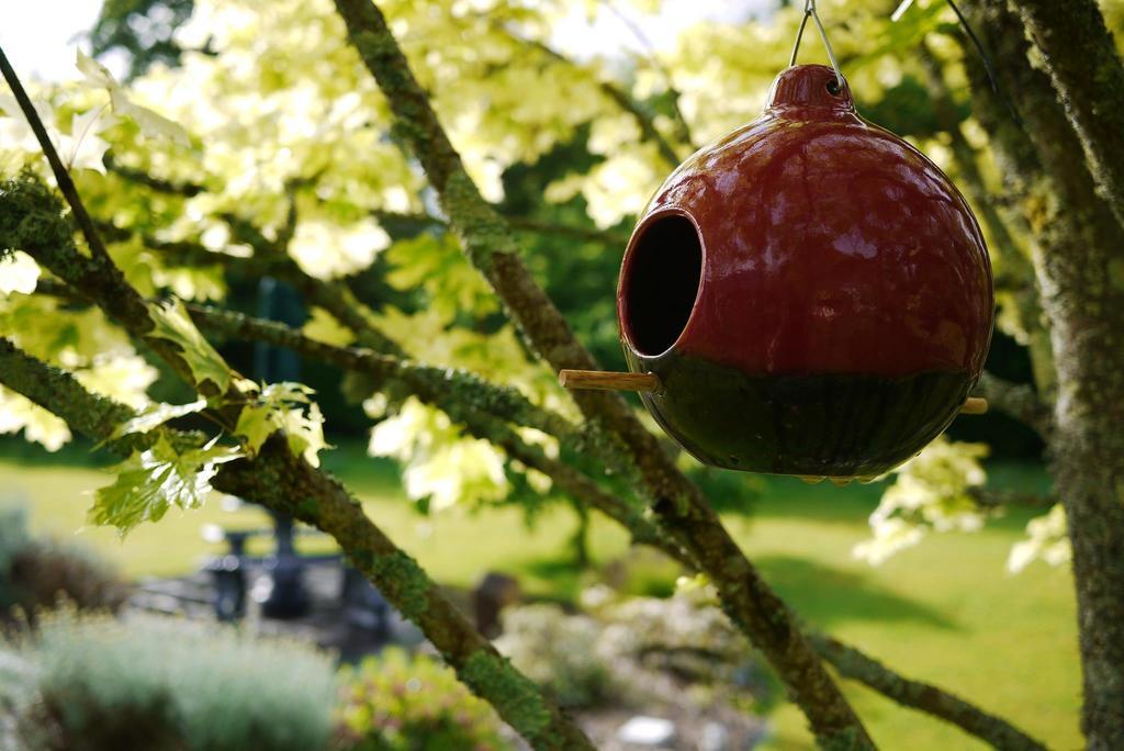 Applecroft House Bed & Breakfast Killarney Ngoại thất bức ảnh