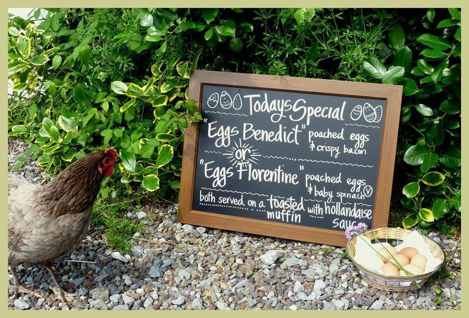 Applecroft House Bed & Breakfast Killarney Ngoại thất bức ảnh