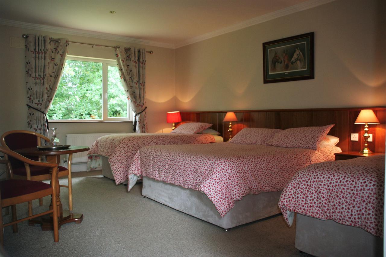 Applecroft House Bed & Breakfast Killarney Ngoại thất bức ảnh